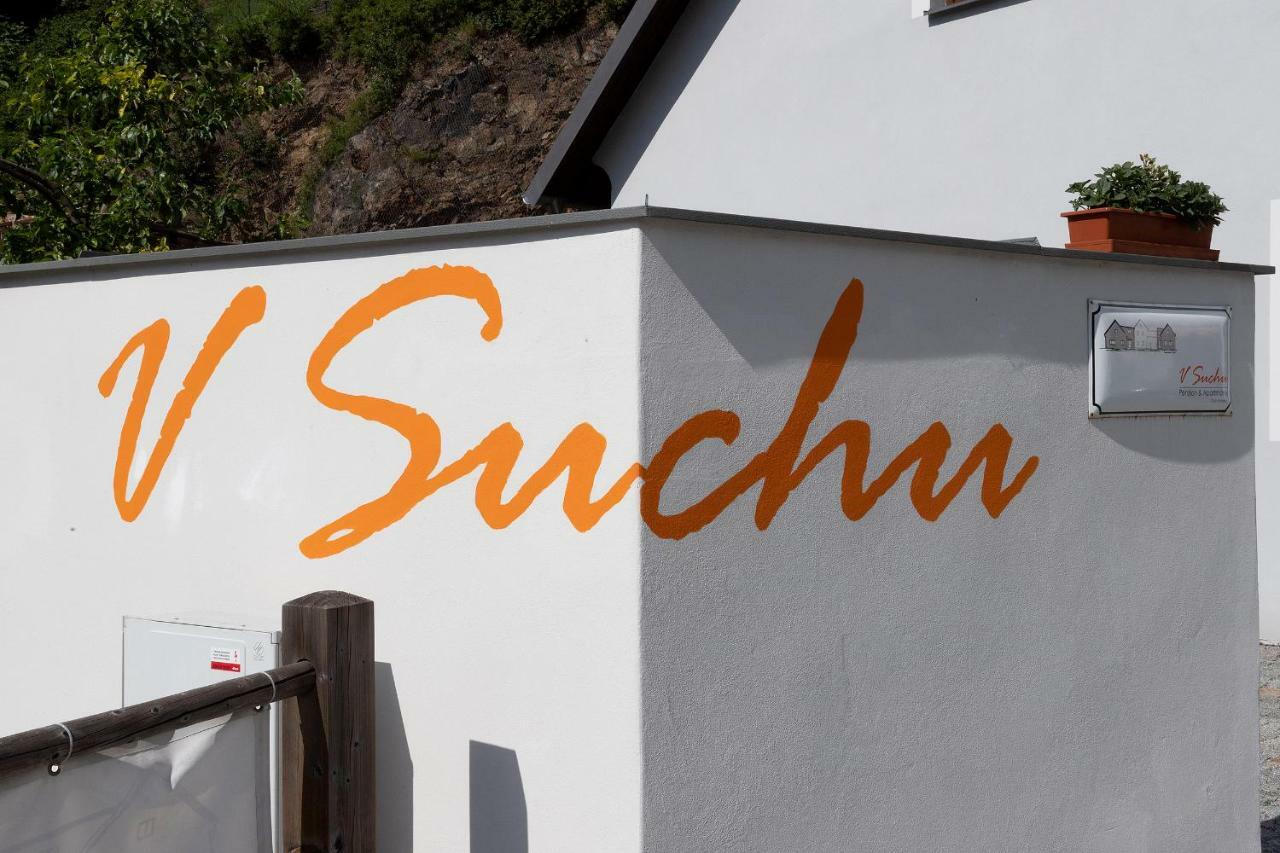 Penzion V Suchu Český Krumlov Extérieur photo